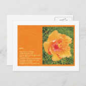 Gorse Briefkaart (Voorkant / Achterkant)