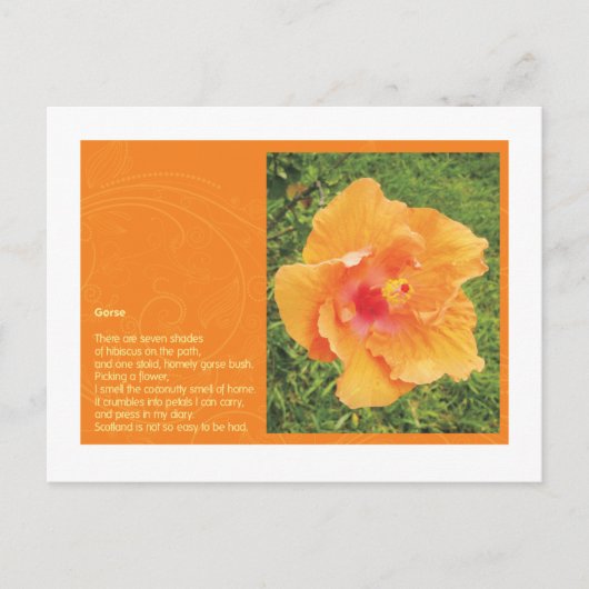 Gorse Briefkaart (Voorkant)