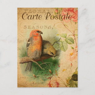  Gosbeak Birds Floral French Carte Postale Briefkaart
