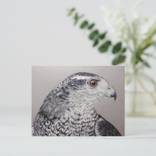 Goshawk Briefkaart (Staand voorkant)