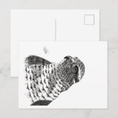 GOSHAWK BRIEFKAART (Voorkant / Achterkant)