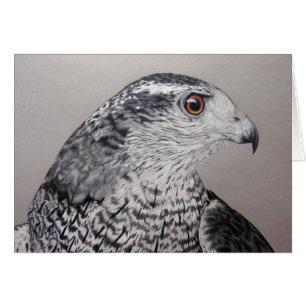 Goshawk Card