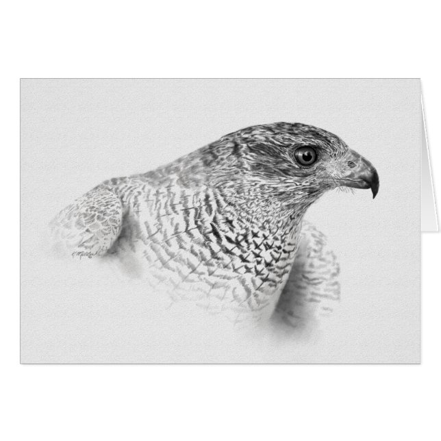 Goshawk Drawing (Voorkant Horizontaal)