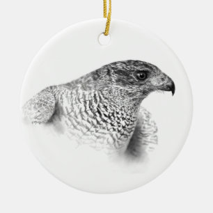 Goshawk Drawing Keramisch Ornament