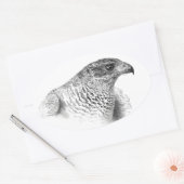 Goshawk Drawing Ovale Sticker (Envelop)