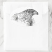 Goshawk Drawing Ovale Sticker (Tas)