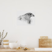 Goshawk Drawing Poster (Keuken)