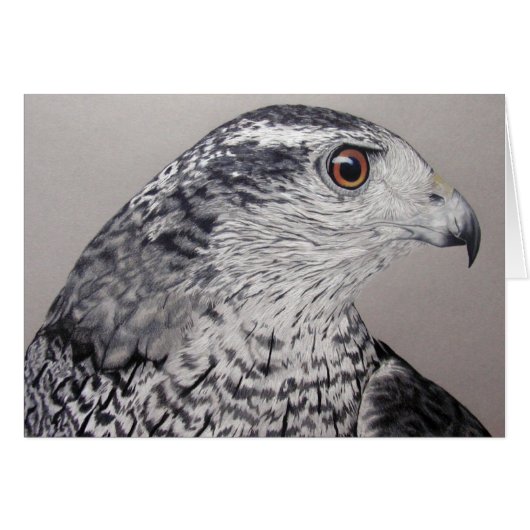 Goshawk du Nord (Devant horizontal)