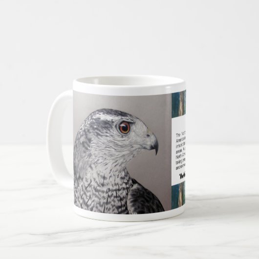 Goshawk mug (Devant gauche)
