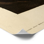 Goshawk, Stanley Hawk, Amerikaanse vogels van Audu Poster (Hoek)