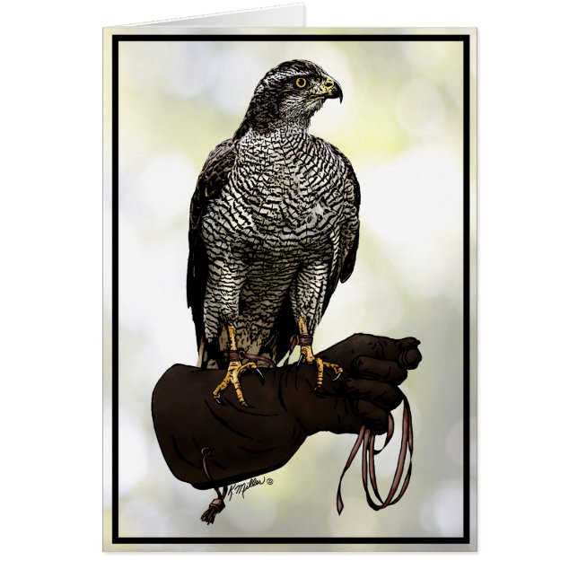 Goshawk sur Glove (Devant)