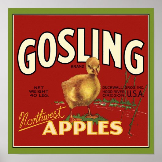 Gosling Baby Goose Apple Crate Label Poster (Voorkant)