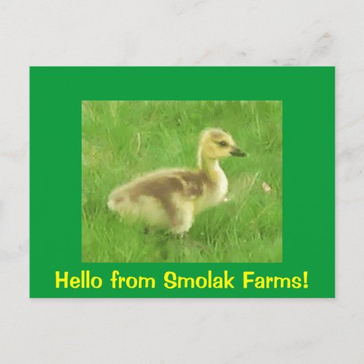 Gosling Briefkaart (Voorkant)