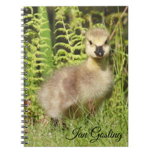 Gosling (Canada Goose) Notitieboek