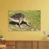 Gosling Canvas Afdruk (Insitu (Woonkamer))