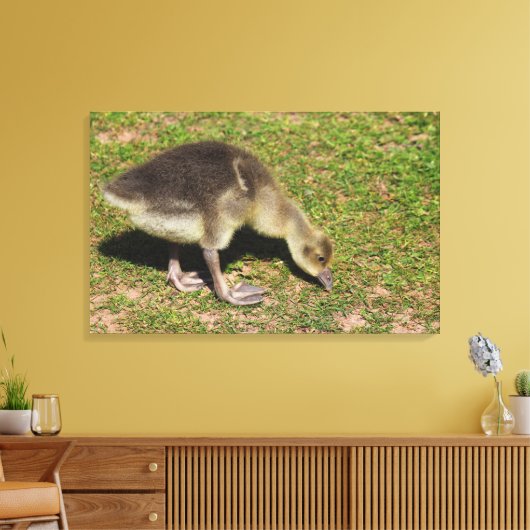 Gosling Canvas Afdruk (Insitu (Woonkamer))
