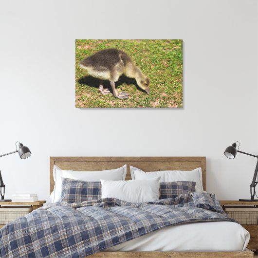Gosling Canvas Afdruk (Insitu (Slaapkamer))