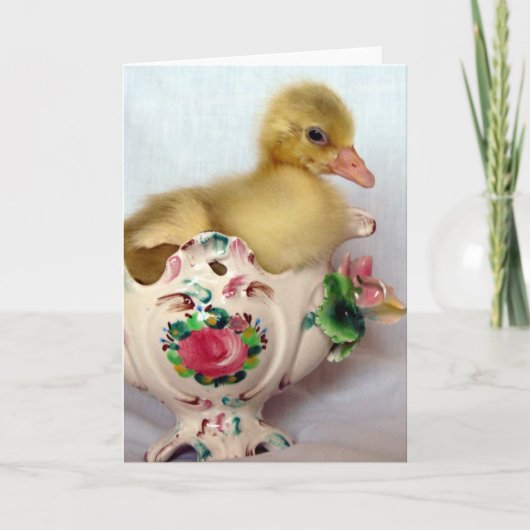 Gosling Kaart (Voorkant)