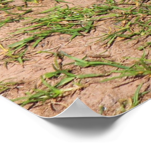 Gosling Poster (Hoek)