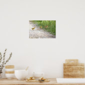 Goslings Foto Poster (Keuken)