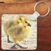 Goslings Foto Sleutelhanger (Achterkant)