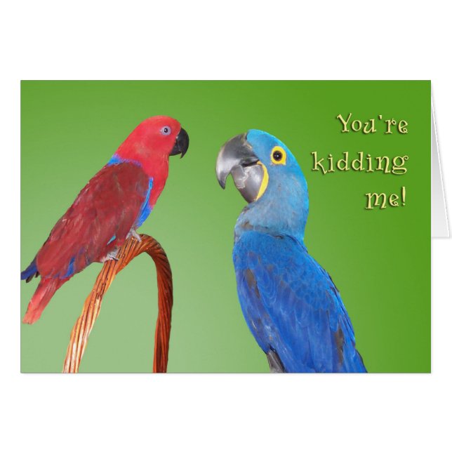 Gossip (Voorkant Horizontaal)