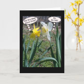 Gossiping Daffies Carte de voeux d'amitié (Fleur jaune)