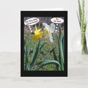 Gossiping Daffies Carte de voeux d'amitié
