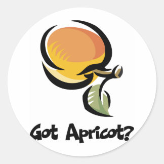 Got Abrikoos Ronde Sticker