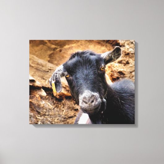 GOT CANVAS AFDRUK (Voorkant)