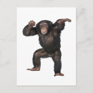 GOT DAT GEVOEL. BRIEFKAART