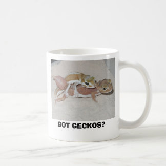 GOT GECKOS? KOFFIEMOK