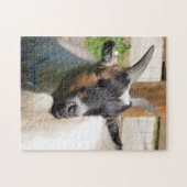 GOT LEGPUZZEL (Horizontaal)