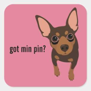 Got Min Pin Miniatuur Pinscher (Chocolade) Sticker