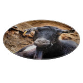 GOT SNIJPLANK (Hoek)