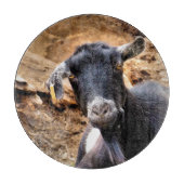 GOT SNIJPLANK (Voorkant)