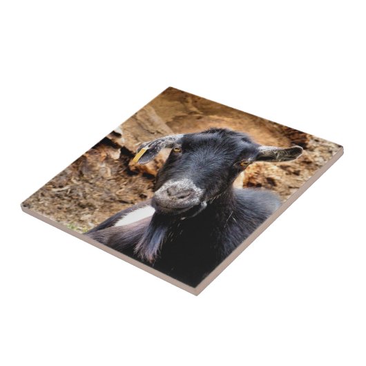 GOT TEGELTJE (Zijkant)