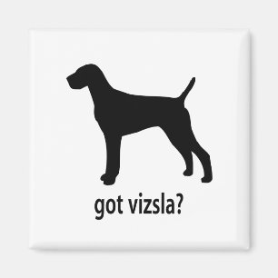 got Vizsla Magneet