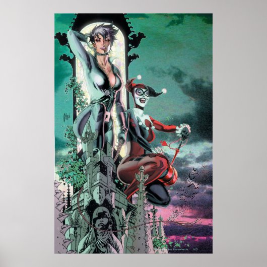 Gotham City Sirens Cv12_R1 Poster (Voorkant)