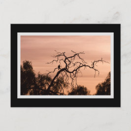 Gothic Bird Dramatic Sunset Tree Briefkaart