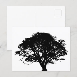 Gothic Black Oak Tree Silhouette Fine Art Drawing Briefkaart