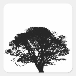 Gothic Black Oak Tree Silhouette Fine Art Drawing Vierkante Sticker