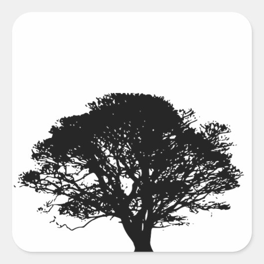 Gothic Black Oak Tree Silhouette Fine Art Drawing Vierkante Sticker (Voorkant)