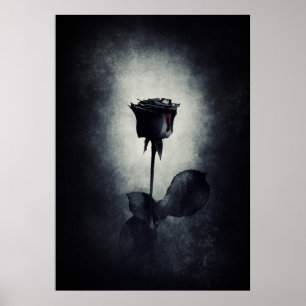Gothic Black Roos Driving Blood Macabre Poster