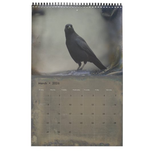 Gothic Crows Kalender (Mar 2026)
