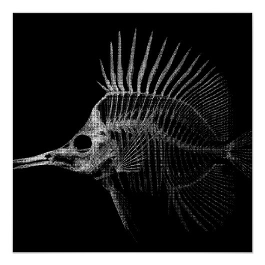 Gothic Fish Skeleton X-Ray Poster Perfect Poster (Voorkant)