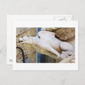 Gothic gargoyle standbeeld - circa 1340 briefkaart (Voorkant / Achterkant)