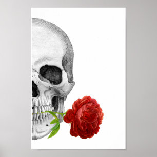 Gothic Half Skull Roos Horror Fantasy Skeleton Poster