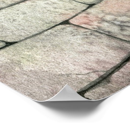 Gothic Romantic Fairy Poster Print (Hoek)