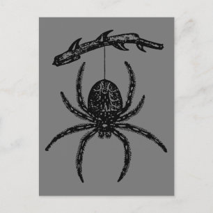 Gothic Spider die van het Briefkaart van de Tak ha